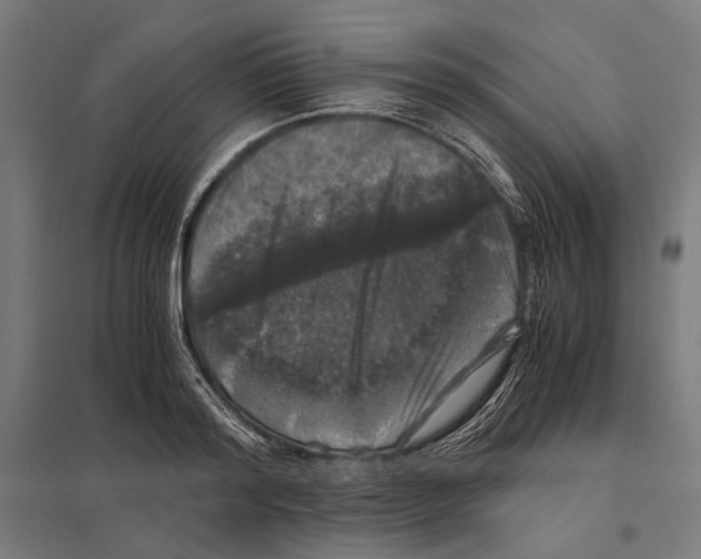 X0000097600796200803280950