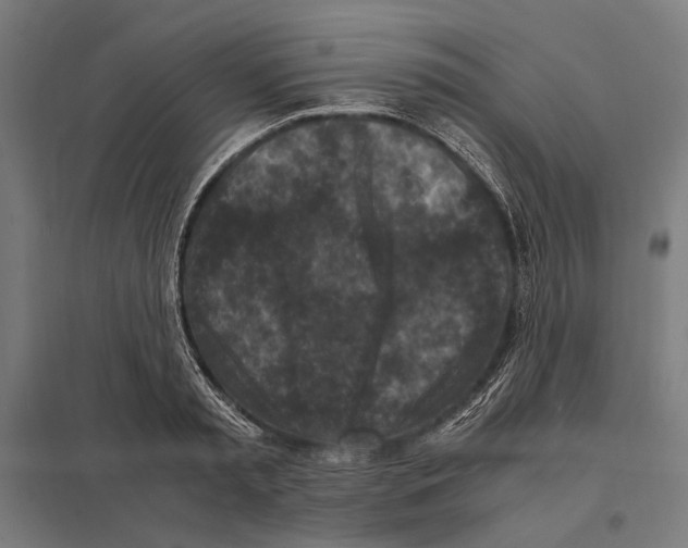 X0000097600797200803280950