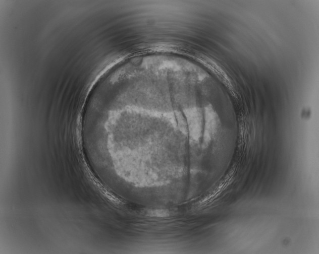 X0000097600798200803280950