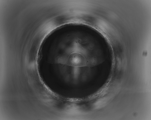 X0000097600799200803280950