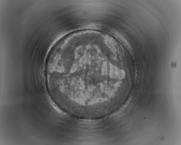 X0000097600800200803280950