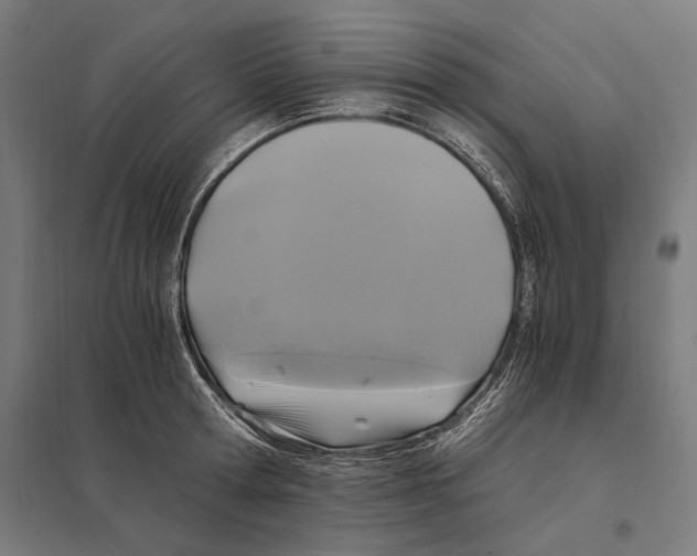 X0000097600802200803280950