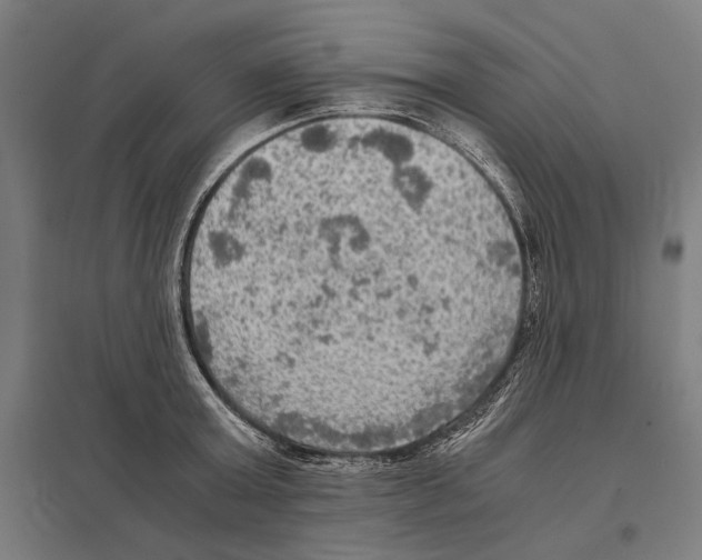 X0000097600803200803280950