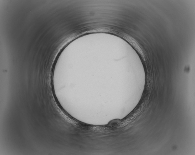 X0000097600805200803280950