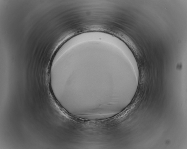 X0000097600806200803280950