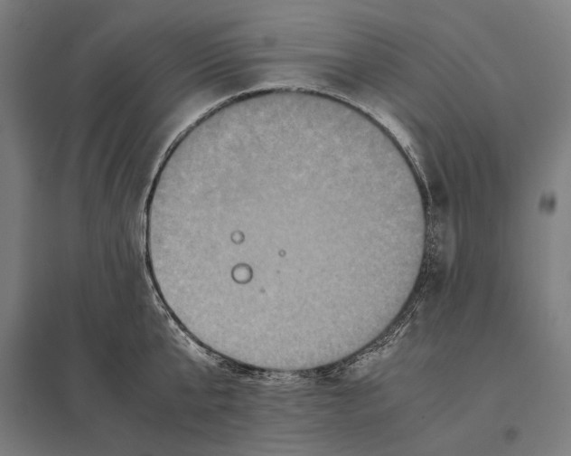 X0000097600807200803280950