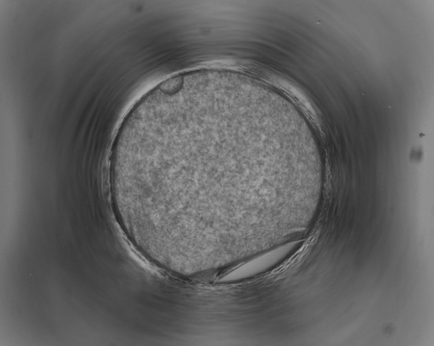 X0000097600808200803280950