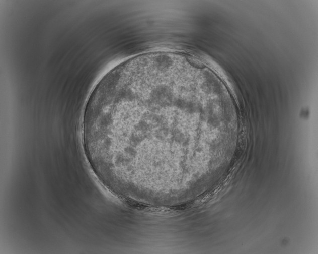 X0000097600811200803280950