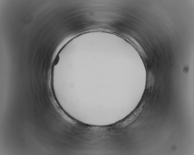 X0000097600812200803280949