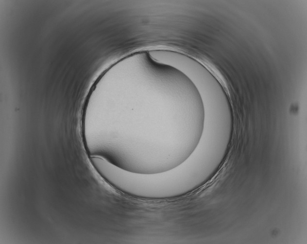 X0000097600813200803280949