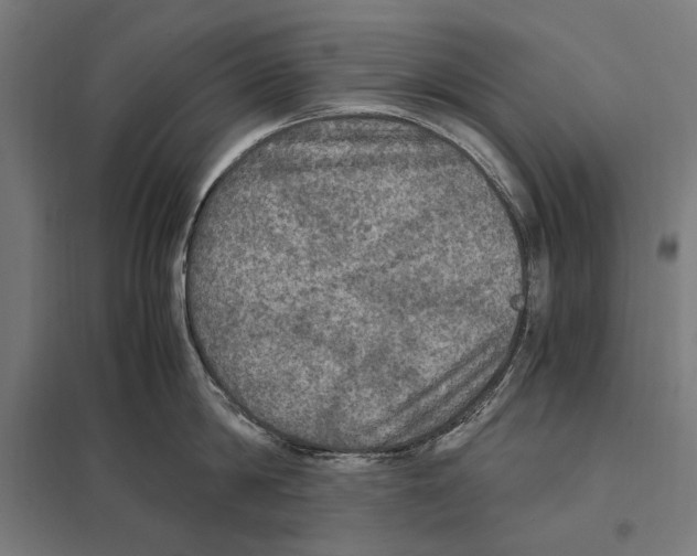 X0000097600814200803280949