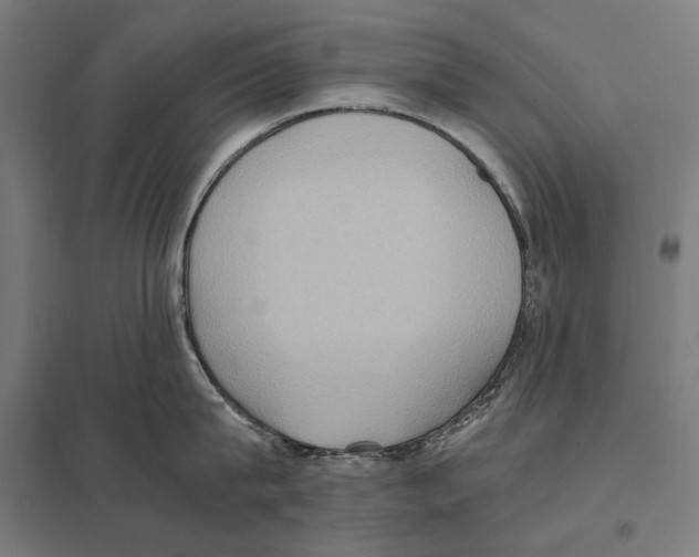 X0000097600815200803280949