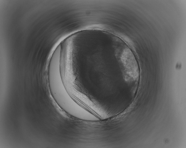 X0000097600816200803280949