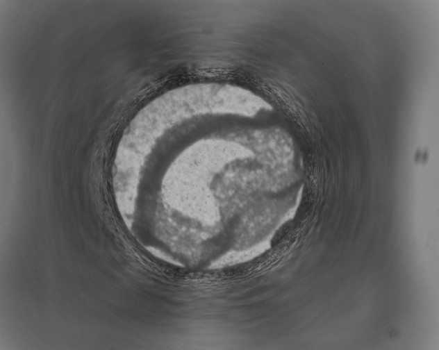 X0000097600817200803280949