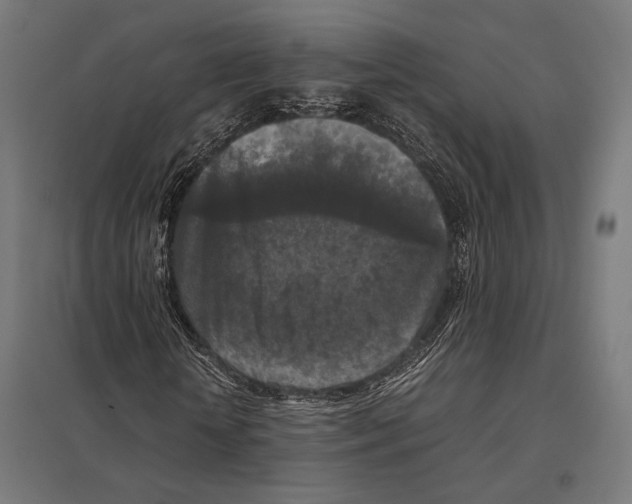 X0000097600818200803280949