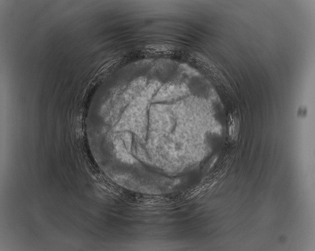 X0000097600819200803280949