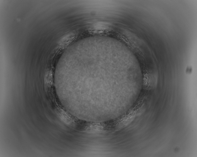 X0000097600820200803280949