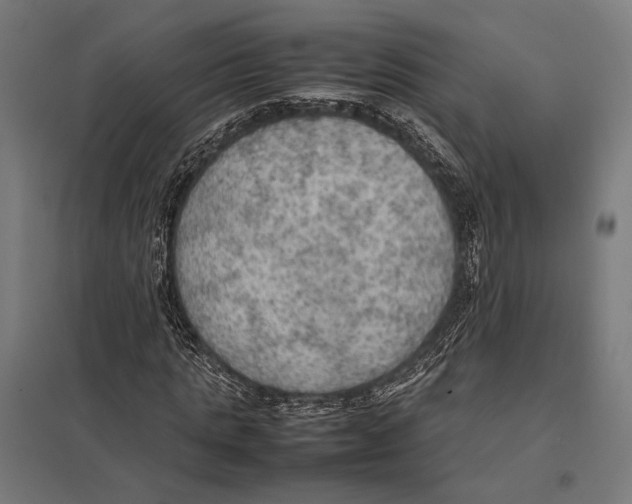 X0000097600821200803280949