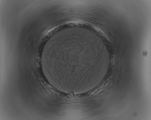 X0000097600822200803280949