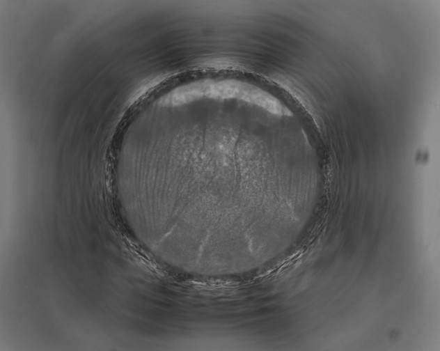 X0000097600823200803280949