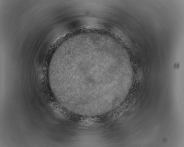 X0000097600824200803280949