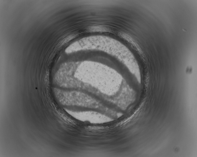 X0000097600825200803280949