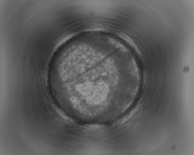 X0000097600826200803280949