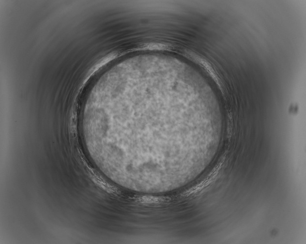 X0000097600827200803280949