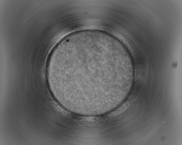 X0000097600828200803280949