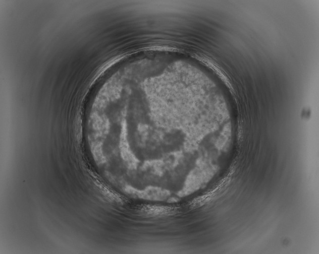 X0000097600829200803280949