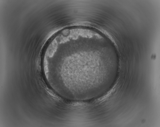 X0000097600830200803280949