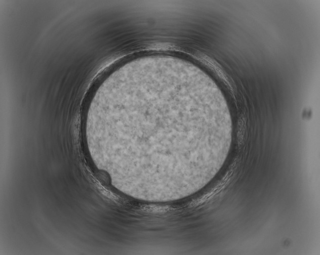 X0000097600831200803280949