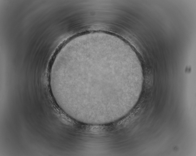 X0000097600832200803280949