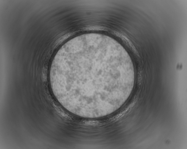 X0000097600833200803280949