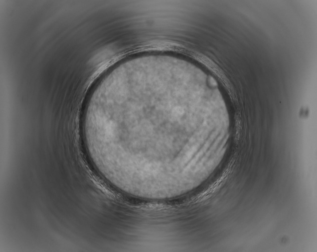 X0000097600834200803280949