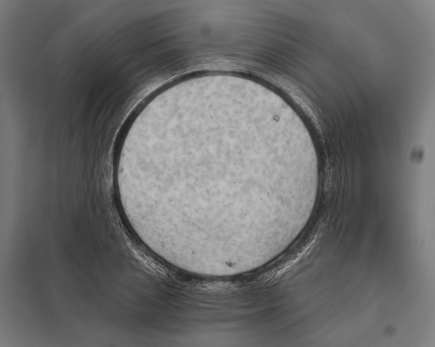 X0000097600837200803280949