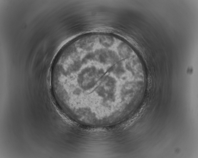 X0000097600838200803280949