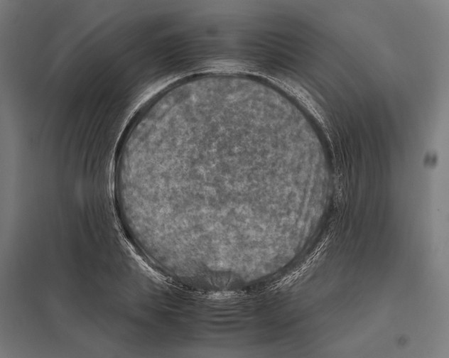 X0000097600839200803280949