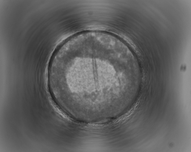 X0000097600840200803280949