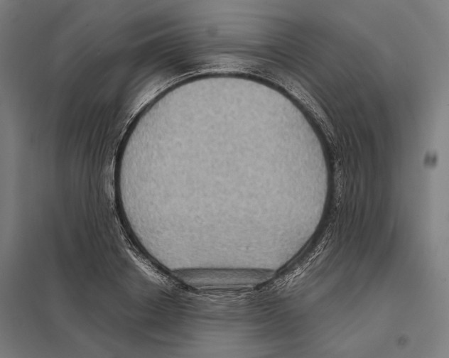 X0000097600842200803280949