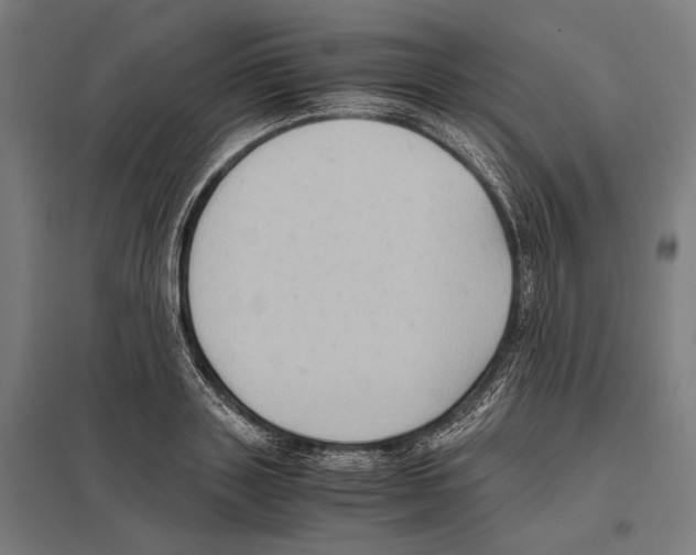 X0000097600843200803280949