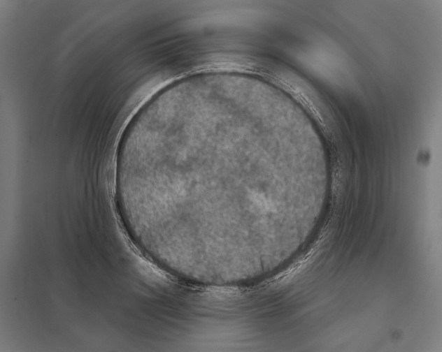 X0000097600844200803280949