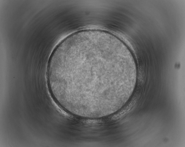 X0000097600847200803280949