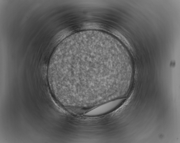 X0000097600849200803280949