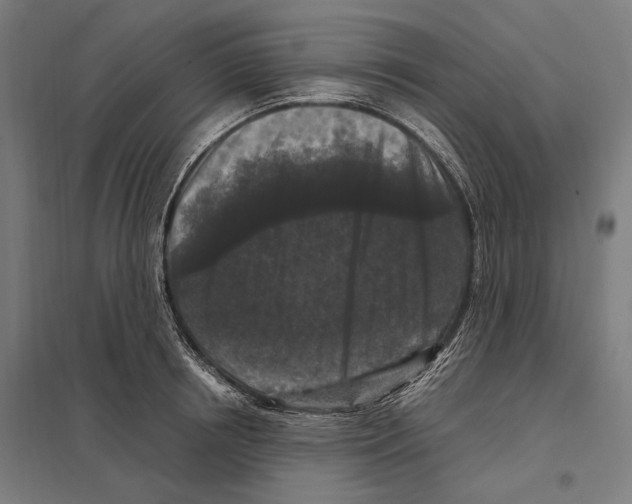 X0000097600850200803280949