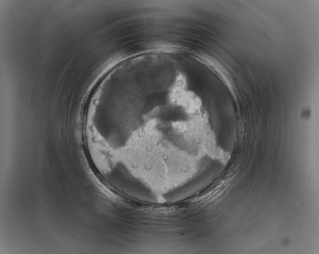 X0000097600851200803280949