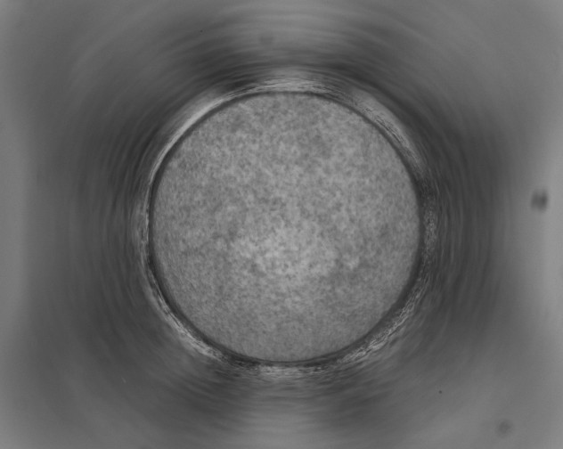 X0000097600852200803280949