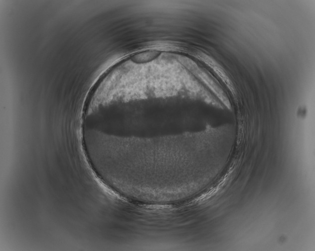 X0000097600853200803280949