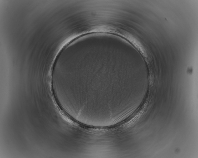 X0000097600854200803280949