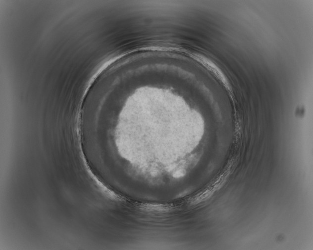 X0000097600855200803280949